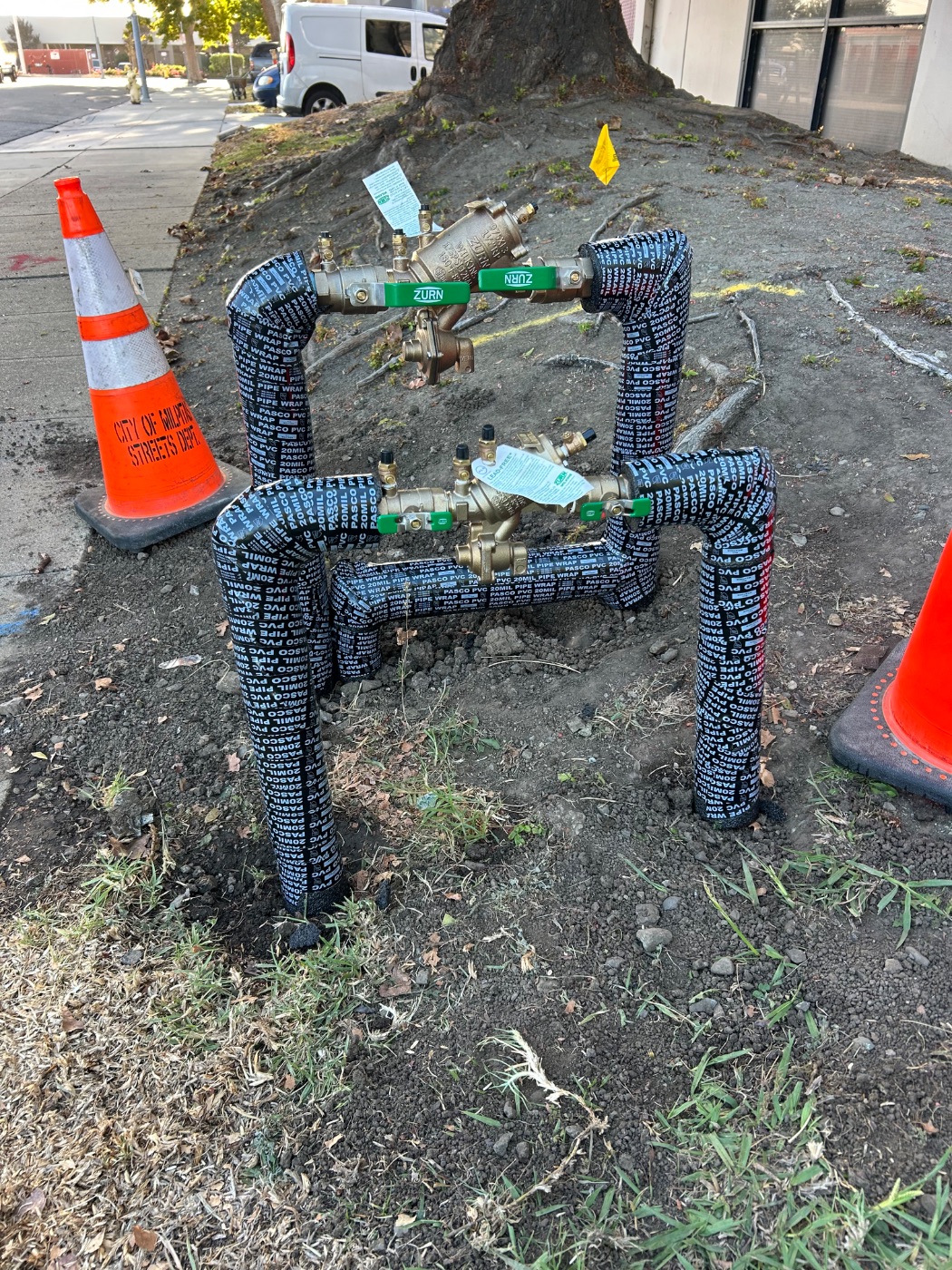 Dual backflow preventer assembly installed in Milpitas
